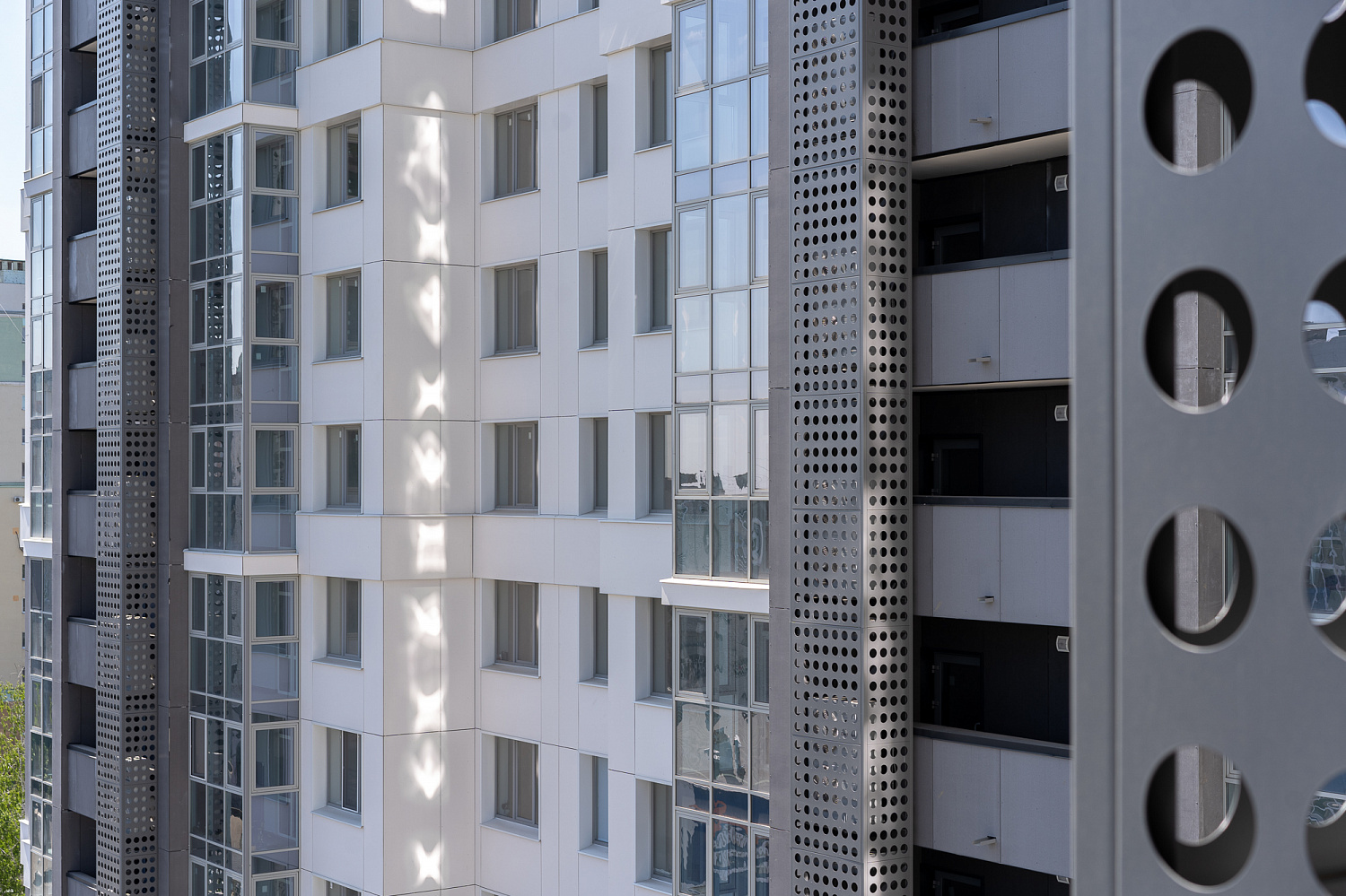 Основные виды