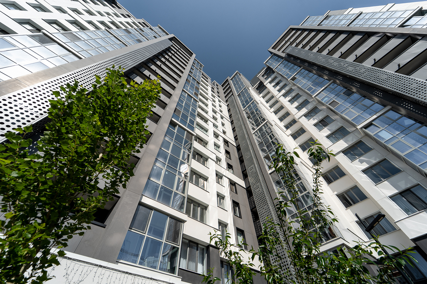 Основные виды