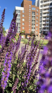 Карьера в Трансжстрой