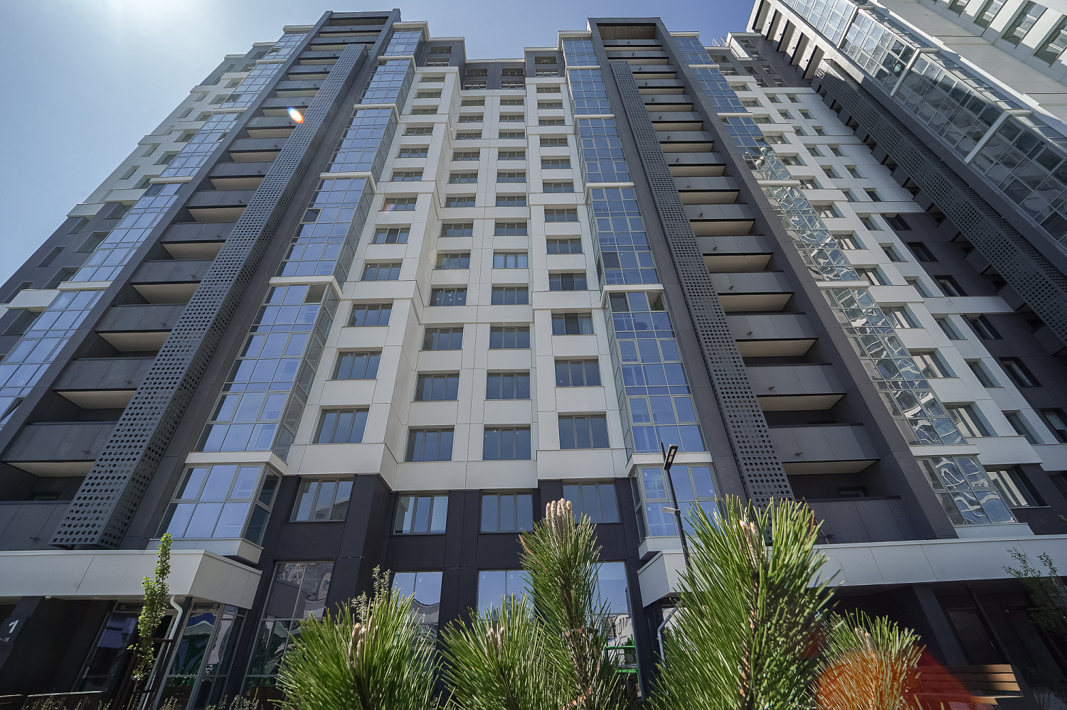 Основные виды